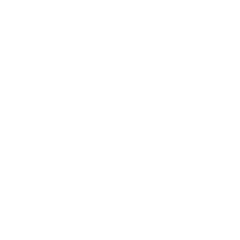 LivCor logo
